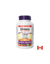 Immunità - Echinacea (triplo estratto standardizzato) 2100 mg, 90 capsule softgel