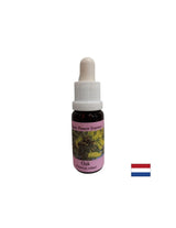 Energizzante - Essenza di Quercia N°22, gocce 15 ml