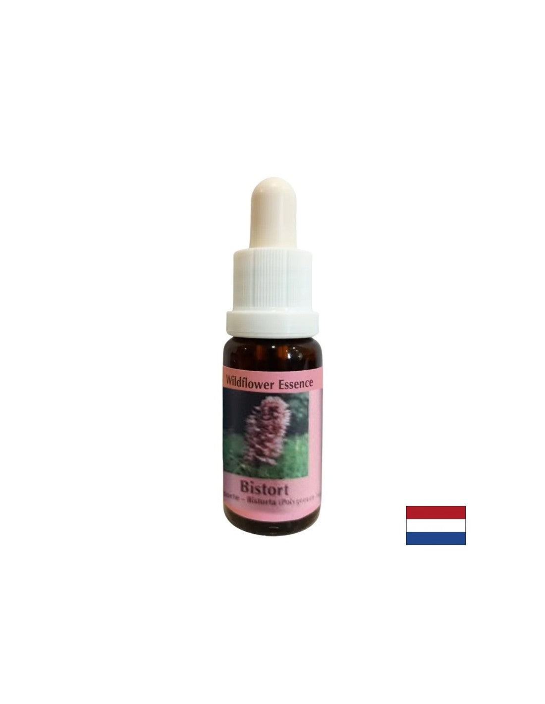 Supporta concentrazione e focus - Bloodroot Essence No. 28, gocce 15 ml