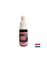 Armonizza i chakra e apre la mente - Essenza Indian Lotus n°30, gocce 15 ml