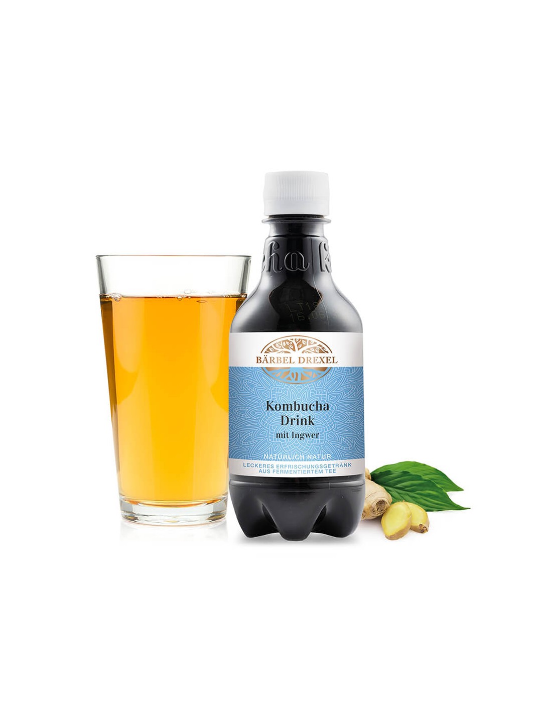 Succo di Kombucha e zenzero - Salute per stomaco, fegato e sistema cardiovascolare, 330 ml.