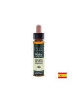 Violeta de agua (Viola d'acqua) Elixir Floral 34 - Elisir di fiori di viola d'acqua, 10 ml Arte<tc>san</tc>io