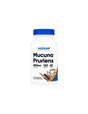 Stress and Anxiety - Mucuna / Velvet Bean (Mucuna Pruriens), 400 mg x 120 capsules Nutricost - Nutra Best Europe