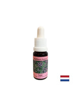 Ripristina il ritmo e sostiene l'adattamento - Sage Essence No. 36, gocce 15 ml