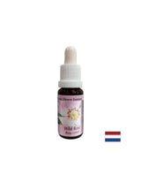 Aumenta l'attività e la motivazione - Essenza di rosa canina n. 37, gocce 15 ml