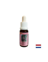 Aiuta a dissipare i ricordi negativi - Essenza Salice a foglia stretta n° 37, gocce 15 ml