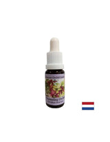 Aiuta i medium nella trasmissione di messaggi spirituali - Channeling Orchid Essence No. 5, gocce da 15 ml