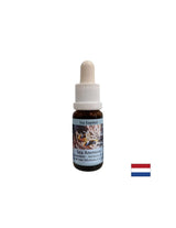 Rafforza la coesione e la chiarezza nella scelta del partner - Essenza di anemone di mare n. 6, gocce 15 ml