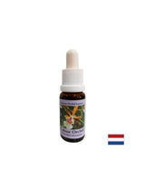 Stimola un atteggiamento positivo verso la vita - Essenza Orchidea Colorata N°7, gocce 15 ml