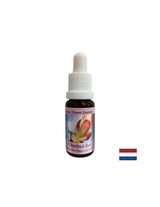 Rimuove i blocchi energetici - Chestnut Bud Essence No. 7, gocce 15 ml