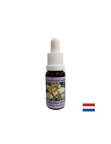 Coordina le energie curative - Essenza Orchidea Coordinatrice N. 8, gocce 15 ml