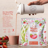 Strawberry in polvere proteica vegana - 600 g realizzati in Germania - alfa alfa