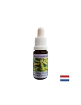 Avvicina le persone all'energia della natura - Essenza Orchidea Deva N. 9, gocce 15 ml