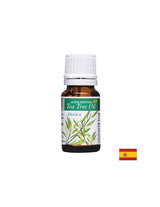 Olio essenziale di tea tree biologico - effetto antisettico e antimicotico - Aceite Esencial Eco Tea Tree Oil, 10 ml