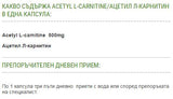 Acetil L-Carnitina - 60 capsule