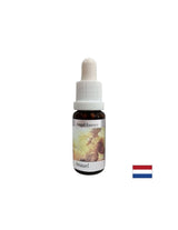 Aiuta a comprendere il significato del denaro - Angel Essence N. 1, gocce 15 ml