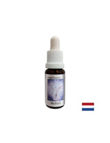 Per trovare le parole giuste - Essence Mechiel (Angel Essence No. 16), gocce 15 ml