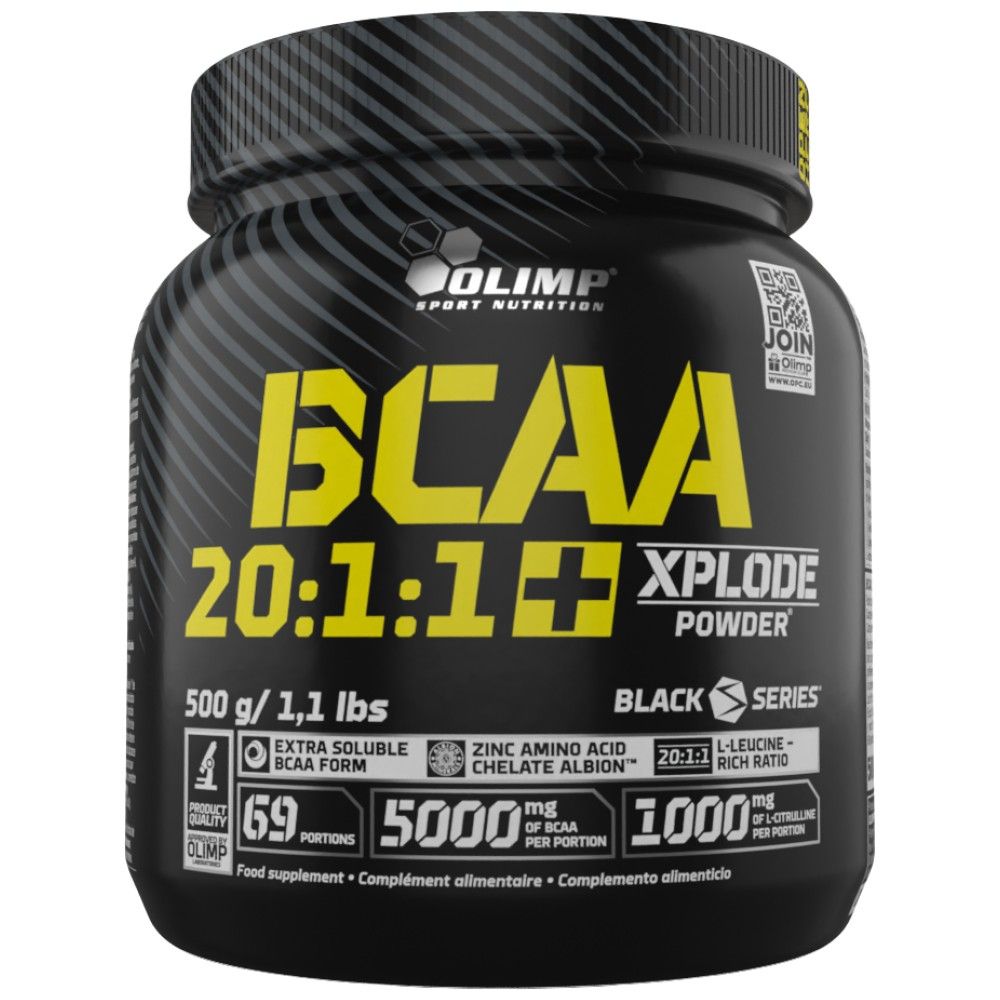 BCAA 20:1:1 - 500 grammi