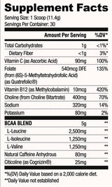 Focus sui BCAA | con Caffeina e Colina 333 grammi