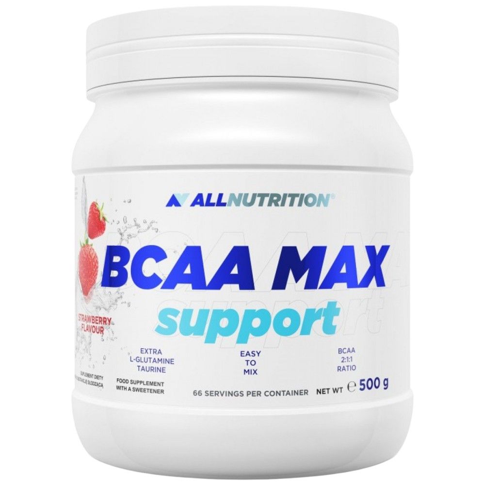 Supporto massimo BCAA - 500 grammi