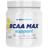 Supporto massimo BCAA - 500 grammi