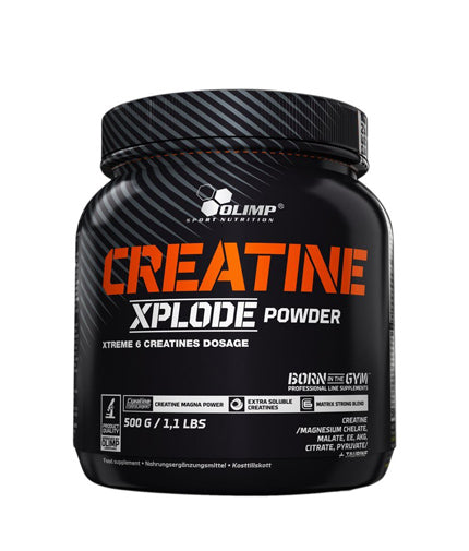 CREATINA XPLODE - 500 grammi