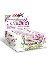 CarniLine® Pro Fitness 2000/25ml. /10Amp.