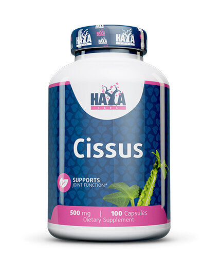 Cisso 500 mg/100 capsule