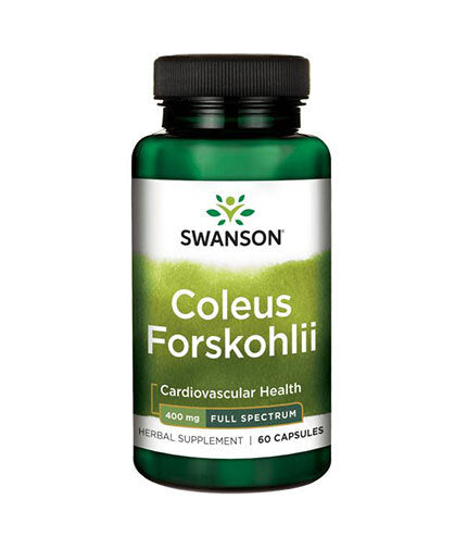 Coleus Forskohlii/Forskolina 400 mg - 60 capsule