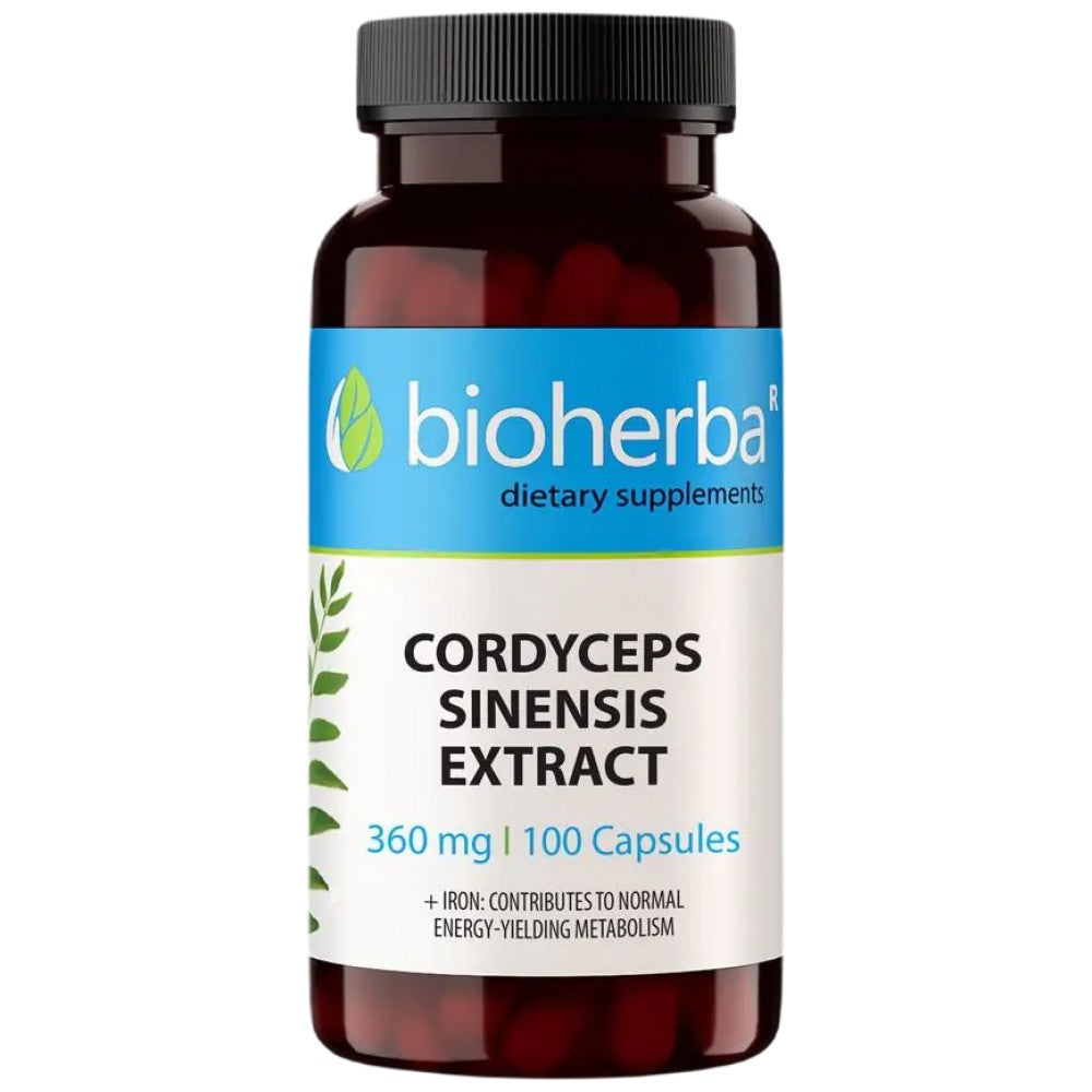 Cordyceps Sinensis 360 mg - 100 capsule