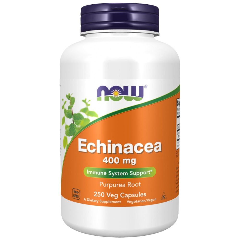Echinacea 400 mg - 100 capsule