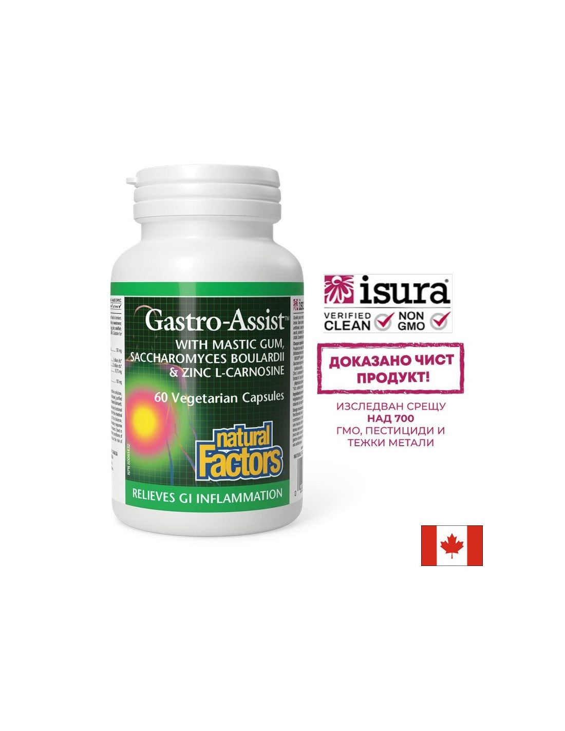 Mastice, Zinco Carnosina e Camomilla per uno Stomaco Calmo - Gastro Assist™, 60 capsule