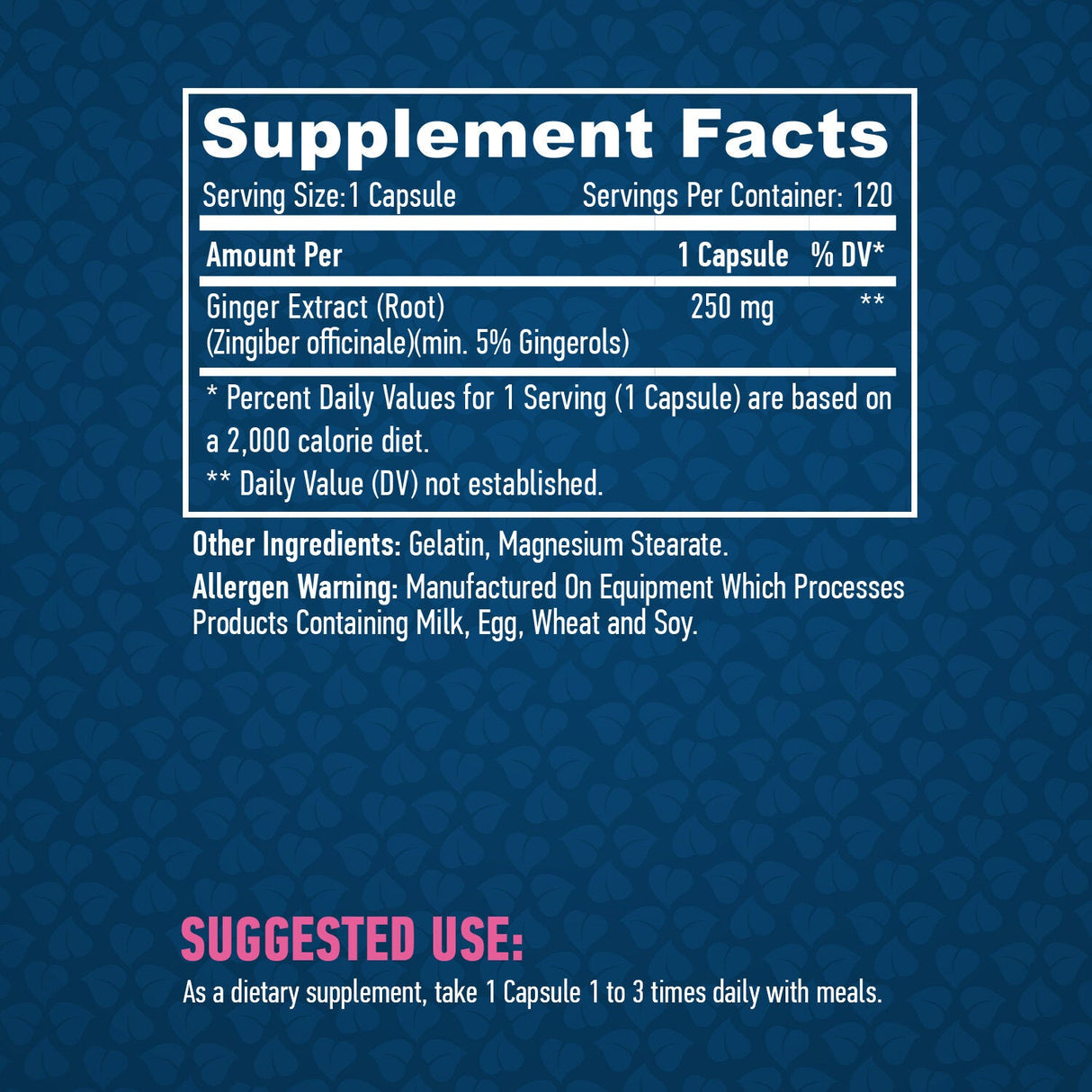 Zenzero 250 mg. /120 Vcaps.