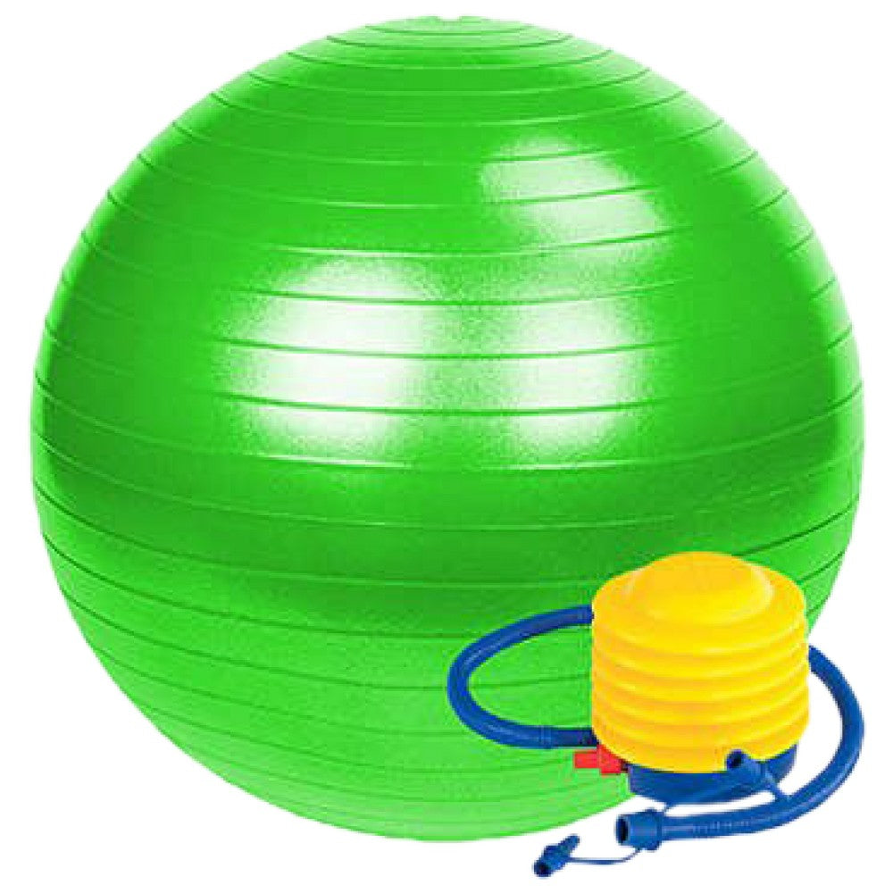 Palla svizzera da ginnastica 65 cm/Palla svizzera da ginnastica con pompa 65 cm 65 cm
