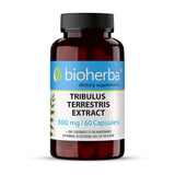 Tribulus terrestris estratto 300 mg - 60 capsule
