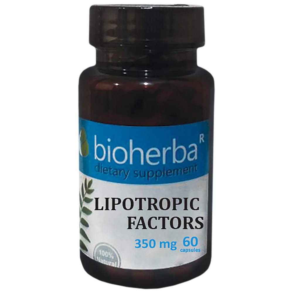 Fattori lipotropici 350 mg - 60 capsule