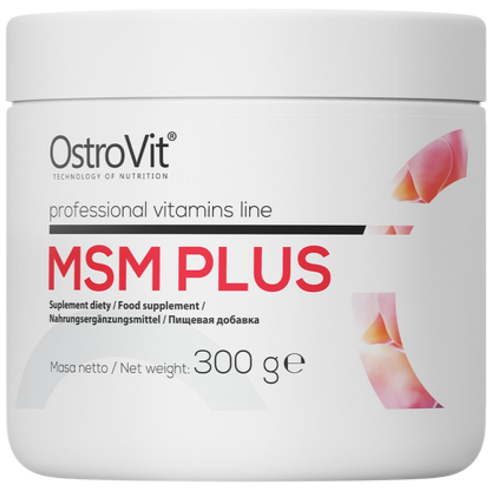 MSM Plus 300 grammi