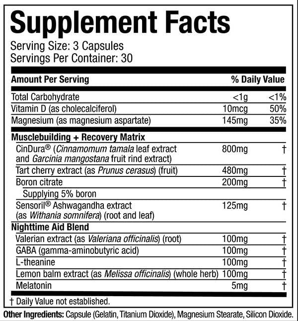 PM costruttore di muscoli | Formula per il recupero notturno - 90 capsule