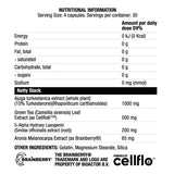 NattyStack | con Turkesterone - 120 capsule