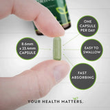 Moringa Biologica - Bio Moringa 600 mg 120 Capsule Vegane