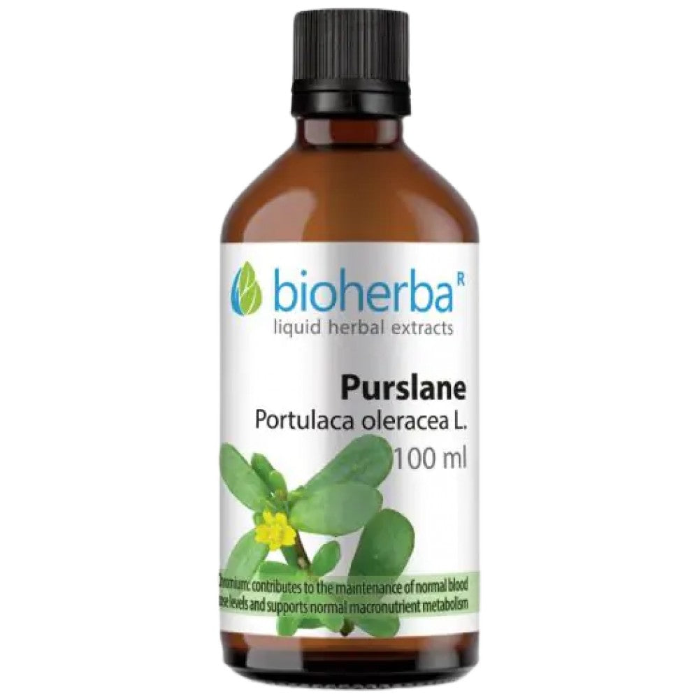 Tintura Portulaca oleracea (portulaca) - 100 ml