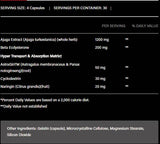 Turkesterone 1200 | con Beta-Ecdisterone & AstraGin - 120 capsule