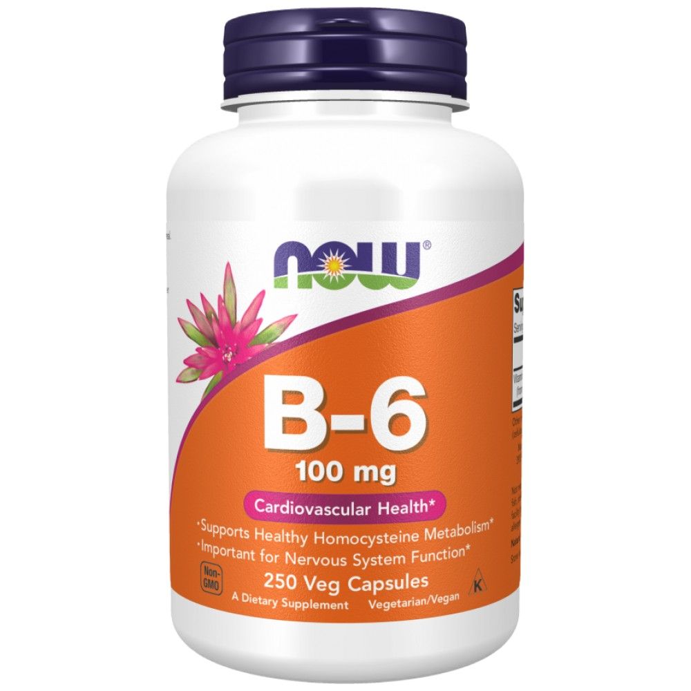 Vitamina B-6 100 mg - 250 capsule