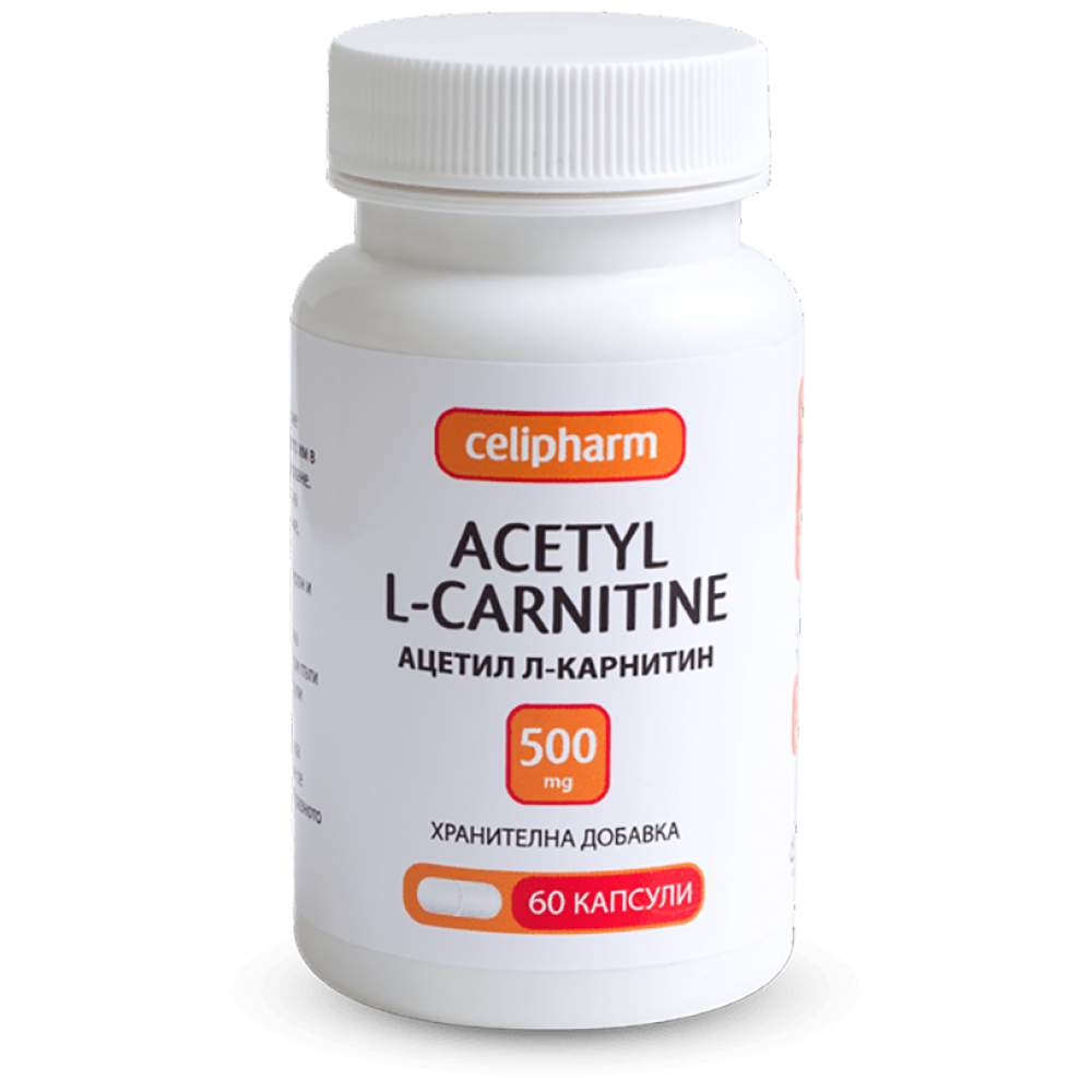 Acetil L-carnitina 500 mg 60 Capsule