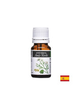 Olio essenziale di anice - sistema respiratorio e nervoso - Aceite Esencial Anis Verde, 10 ml