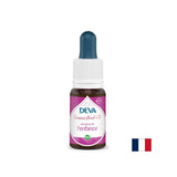 Bilanciamento delle emozioni nei bambini, essenze floreali, metodo Bach scende n. 11, 15 ml