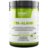 Polvere beta -alanina - 300 grammi