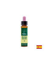 Brote de castaño (Castagno ma) Elixir Floral 7 - Elisir di fiori di boccioli di castagno, 10 ml Arte<tc>san</tc>io