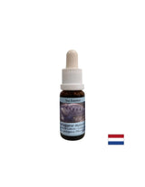 Detexificazione - Essence Physalia (Galera portoghese) n. 4, scende 15 ml