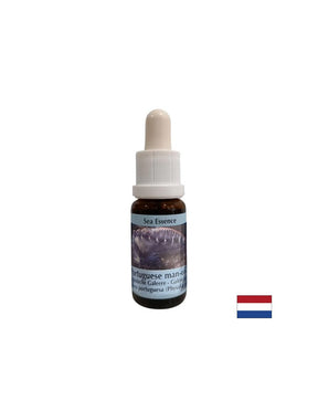 Detoxification - Essence Physalia (Portuguese galley) No. 4, drops 15 ml - Nutra Best Europe